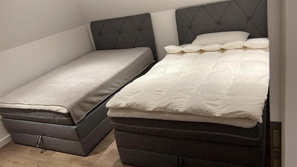 Ferienwohnung Nella Paderborn Bagian luar foto